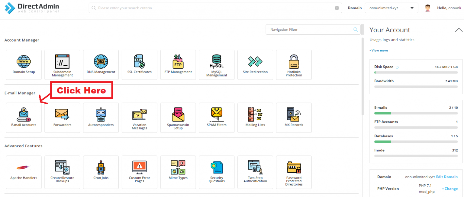 How to Connect through Direct admin panel