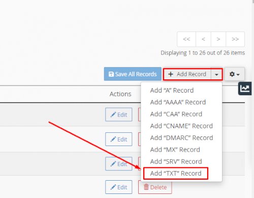 Add a TXT records in cpanel zone editor